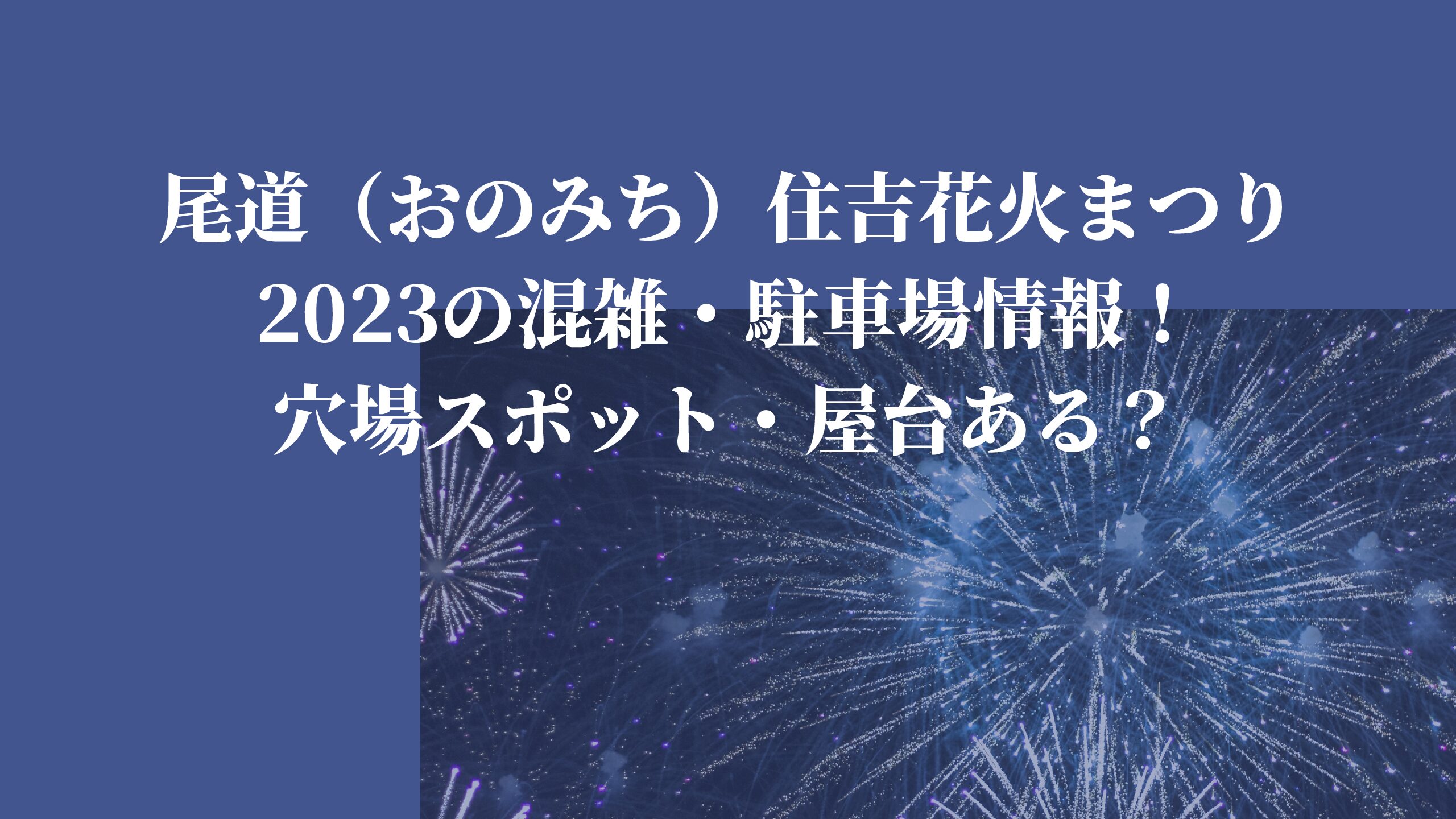 桑名水郷花火大会2023の混雑・駐車場情報！穴場スポット・有料席はある